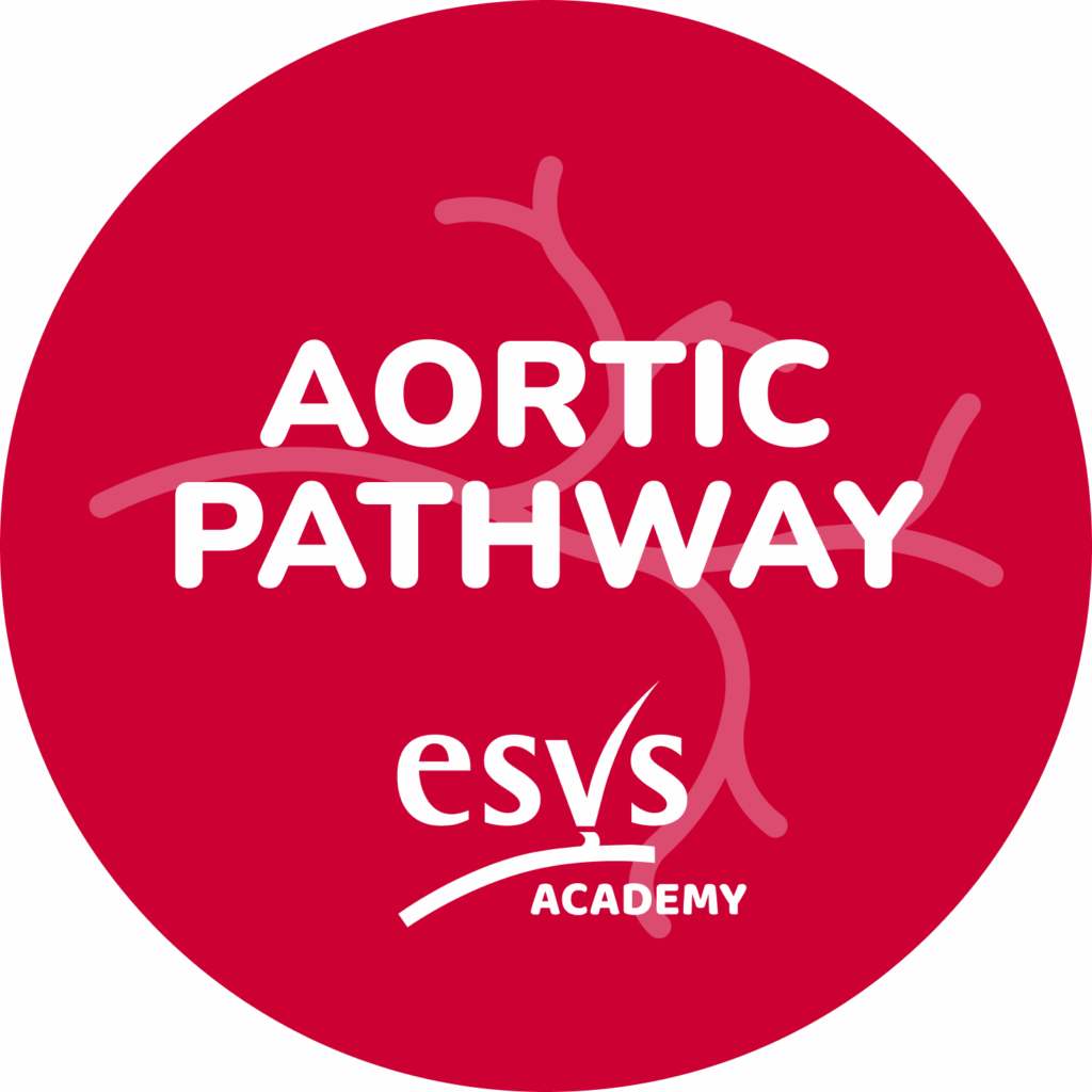 ENHANCE EVAR 2026 – February edition –  (Suprarenal fixation)